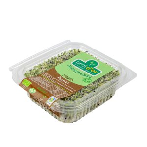 Germinado Puerro BIO, 50g