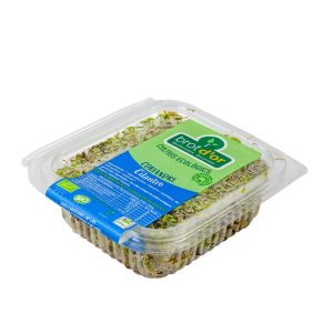 Germinado Cilantro BIO, 70g