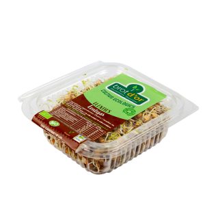 Germinado Lentejas BIO, 100g