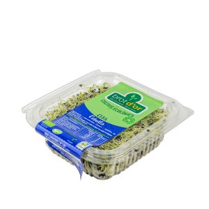 Germinado Cebolla BIO, 50g