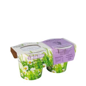 Yogur Natural Sin Lactosa BIO, 2x125g